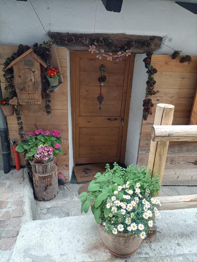 Maison Du Mont Aosta Dış mekan fotoğraf